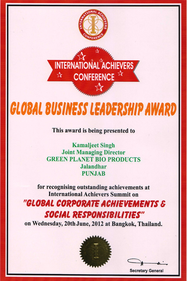 Global Business Leadership...